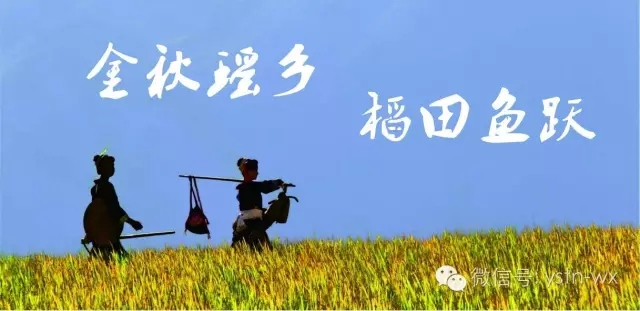 连南瑶山“稻田鱼节”